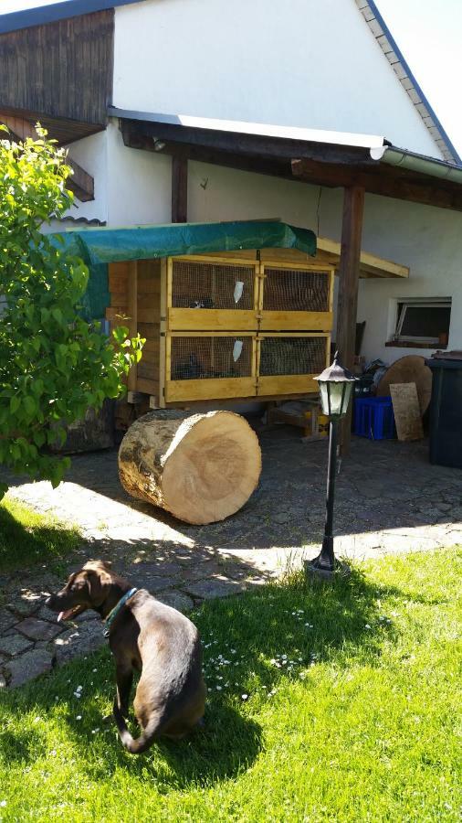 Ferienwohnung Rucksack-Bimbes Altendiez Zewnętrze zdjęcie
